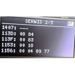 Passat B7 OLED OBD2 Bluetooth - informacja o danych z menu serwisowego strona 2